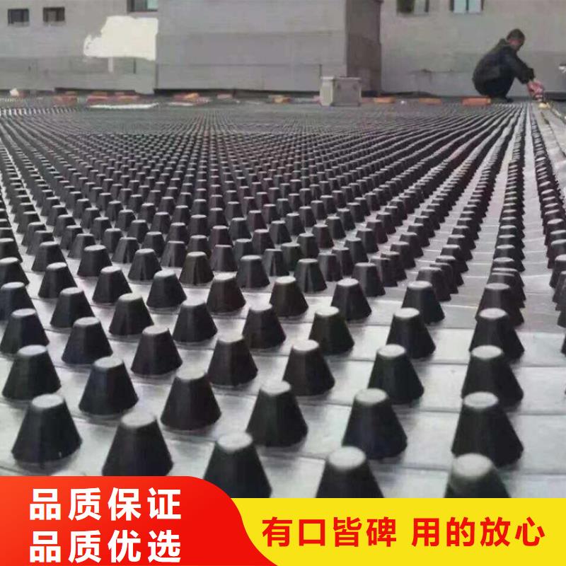 塑料排水板HDPE土工膜一站式采购方便省心