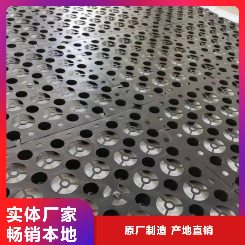 塑料排水板-三维土工网垫自产自销