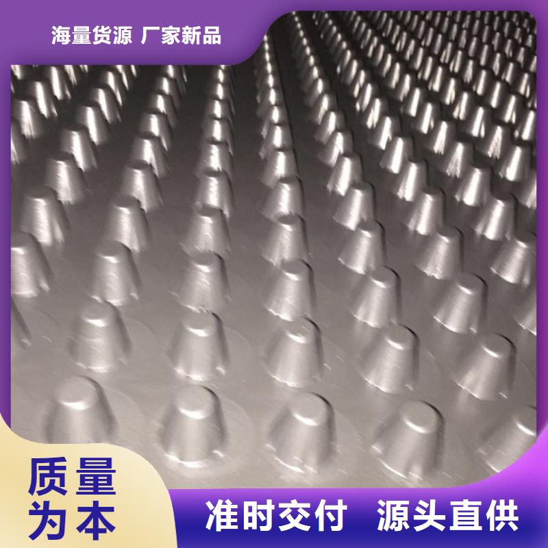 塑料排水板玻璃纤维土工格栅原厂制造
