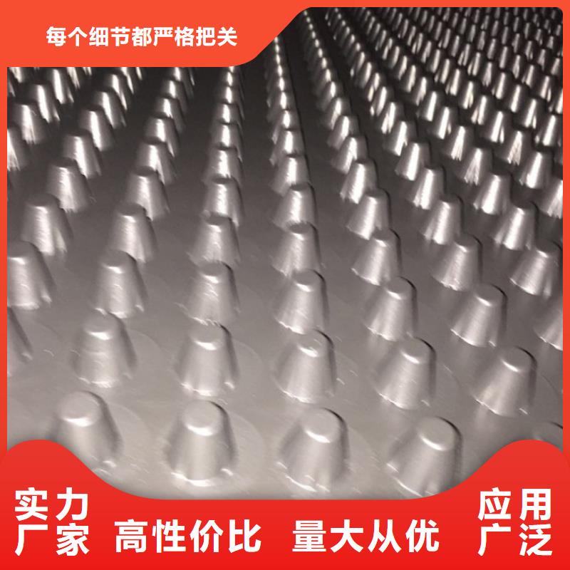 塑料排水板玻璃纤维土工格栅符合行业标准