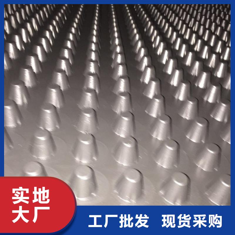 三维植被网厂家-视频-重庆市三维植被网厂家-【周边】可服务区域丰都|璧山|武隆|北碚