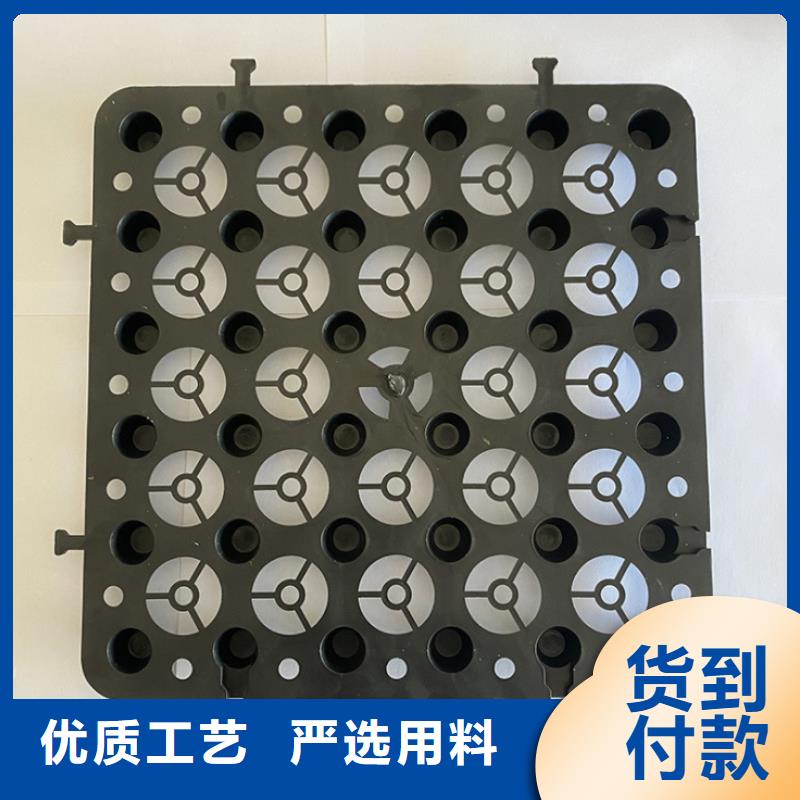 塑料排水板-土工膜严选材质