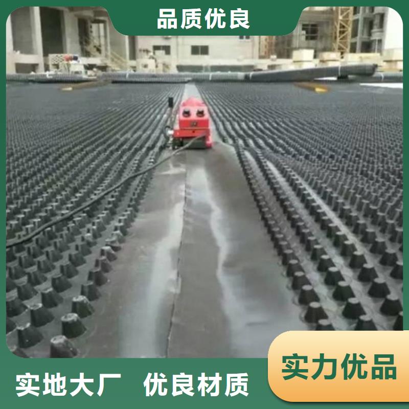 塑料排水板-复合土工膜实拍品质保障