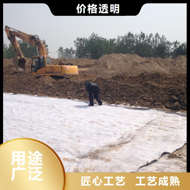 品牌【防水毯】 钢塑土工格栅厂家N年大品牌
