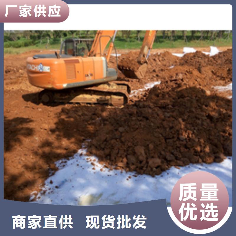 品牌【防水毯】 钢塑土工格栅厂家N年大品牌
