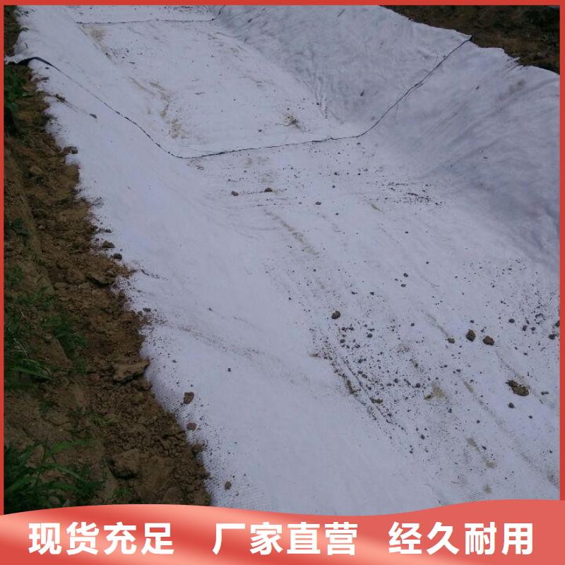 品牌【防水毯】 钢塑土工格栅厂家N年大品牌