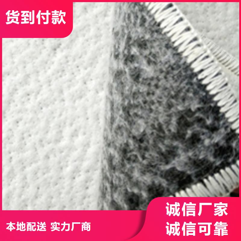 防水毯土工席垫本地厂家值得信赖