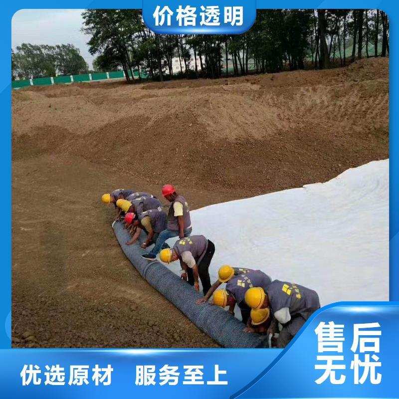 品牌【防水毯】 钢塑土工格栅厂家N年大品牌