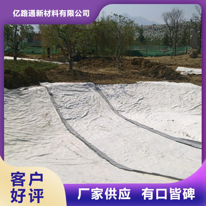 防水毯三维水土保护毯优选货源
