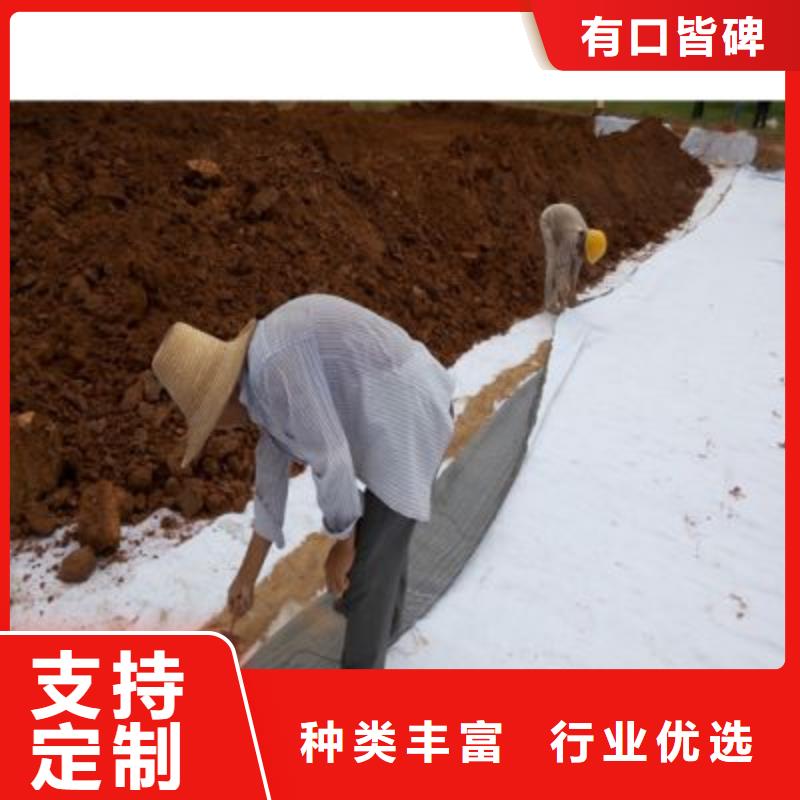 【防水毯玻纤土工格栅专注生产N年】