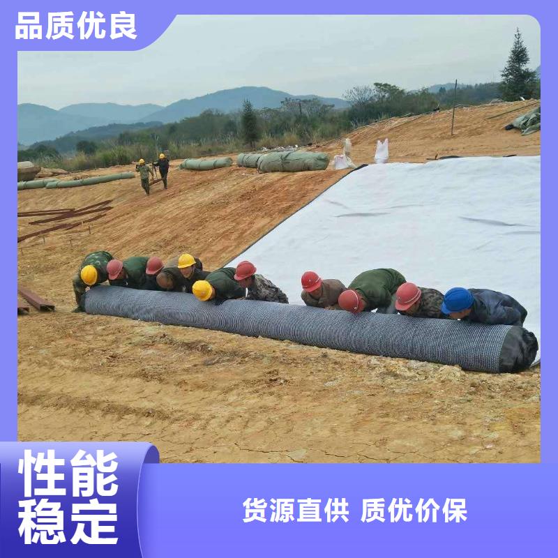 防水毯三维水土保护毯优选货源