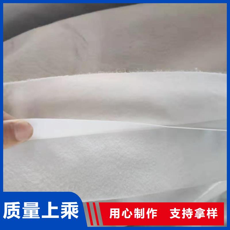 土工膜双向塑料土工格栅N年大品牌