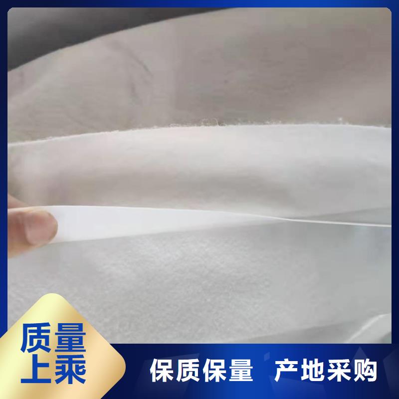 土工膜-三维水土保护毯全新升级品质保障