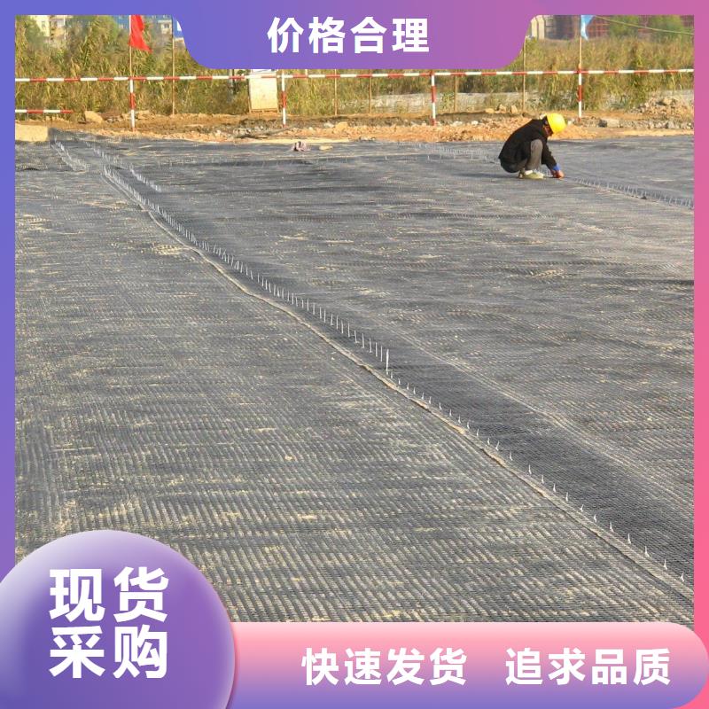 【 土工格栅,长丝无纺土工布免费询价】-市场覆盖|资源|灌阳|贵港|柳州|百色|来宾|钦州|玉林-通金宝