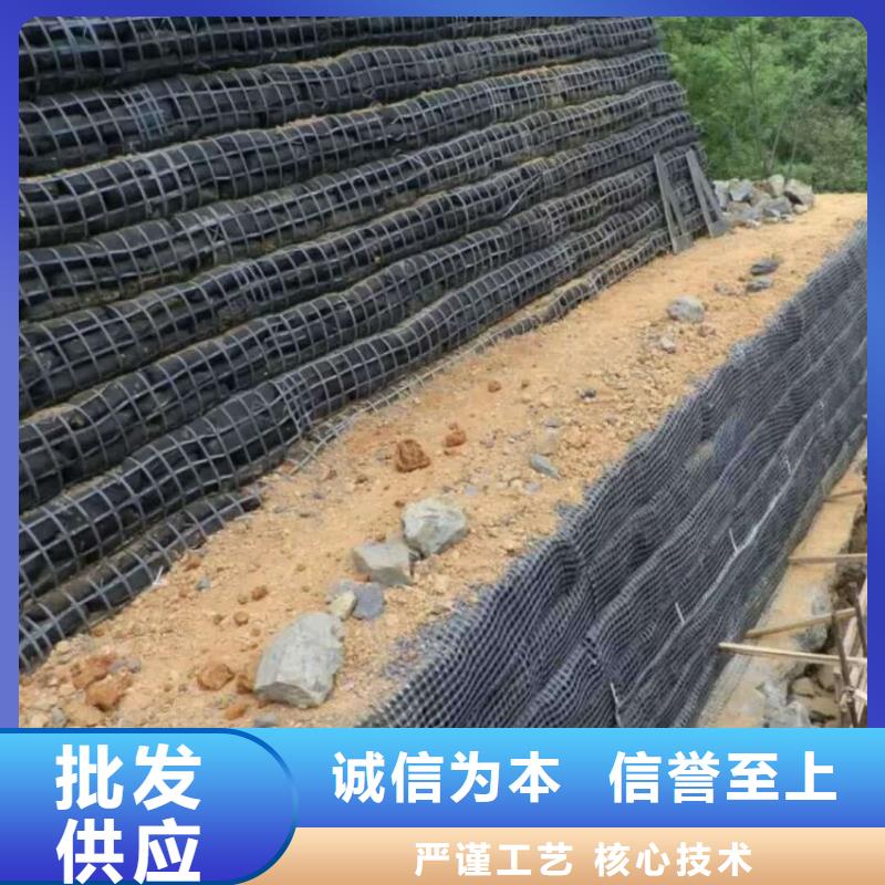 土工格栅三维水土保护毯多家仓库发货