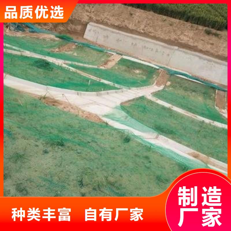三维植被网多向塑料土工格栅定制批发