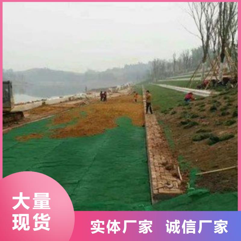 三维植被网护坡土工网品质无所畏惧