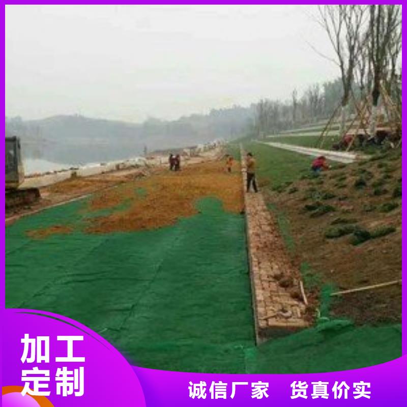 三维植被网钢塑土工格栅厂家专业信赖厂家
