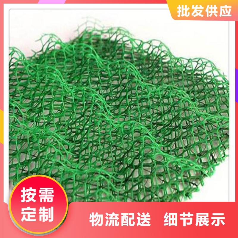 三维植被网钢塑土工格栅厂家专业信赖厂家