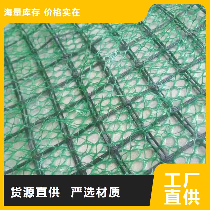 三维植被网涤纶土工格栅源厂供货