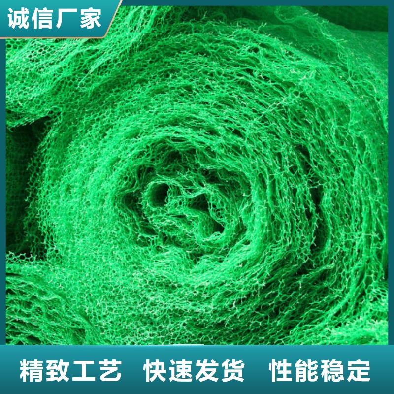 【三维植被网】土工布价格订购本地货源