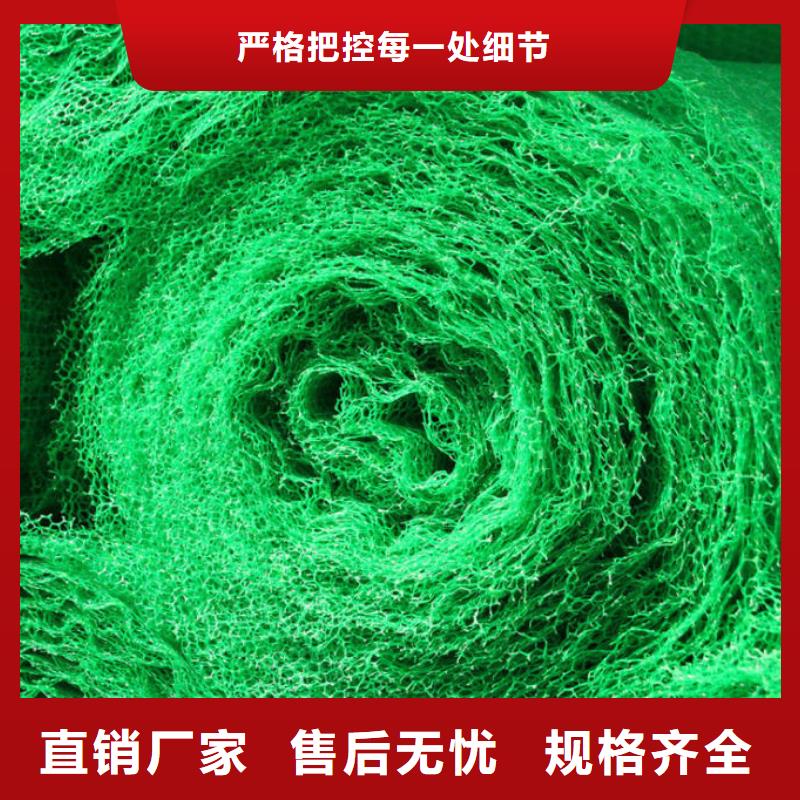 三维植被网钢塑土工格栅厂家专业信赖厂家