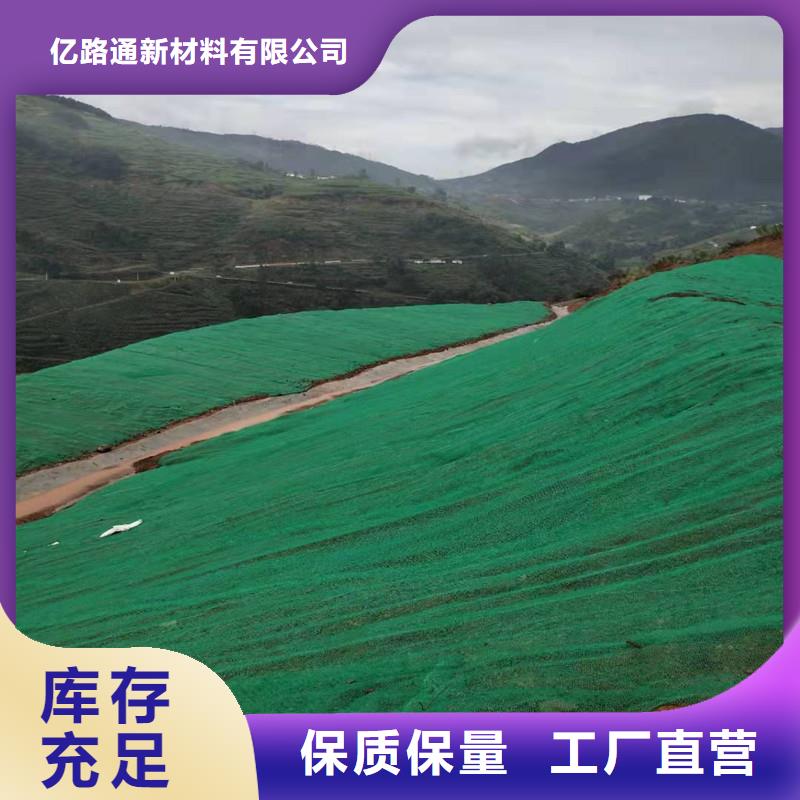 三维植被网厂家视频-施甸|腾冲|临沧|迪庆|红河|文山|丽江三维植被网厂家多种规格供您选择-亿路通新材料(保山市分公司)