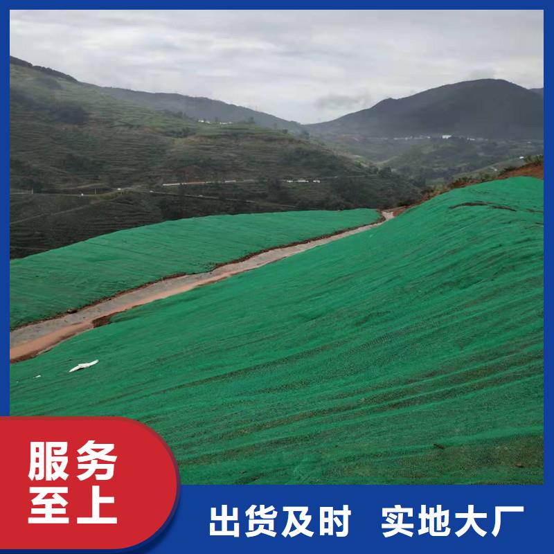 三维植被网,玻纤土工格栅欢迎来厂考察