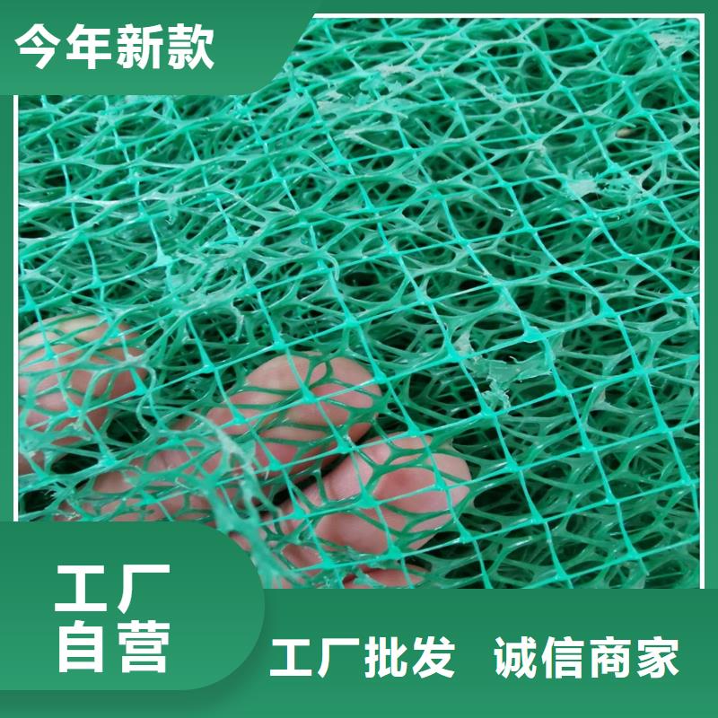 三维植被网厂家视频-施甸|腾冲|临沧|迪庆|红河|文山|丽江三维植被网厂家多种规格供您选择-亿路通新材料(保山市分公司)