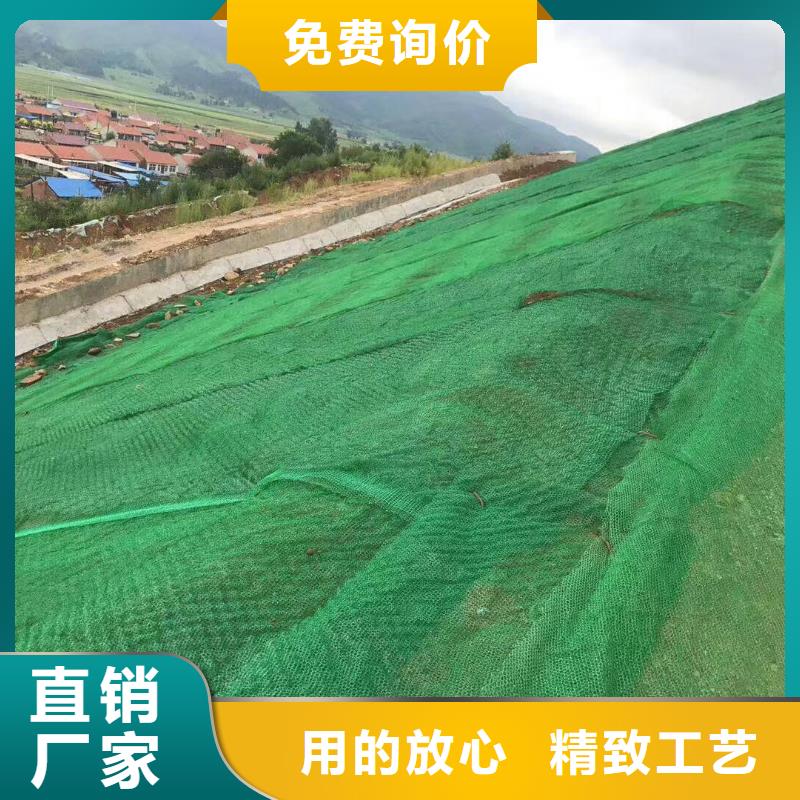 【三维植被网】土工布价格订购本地货源
