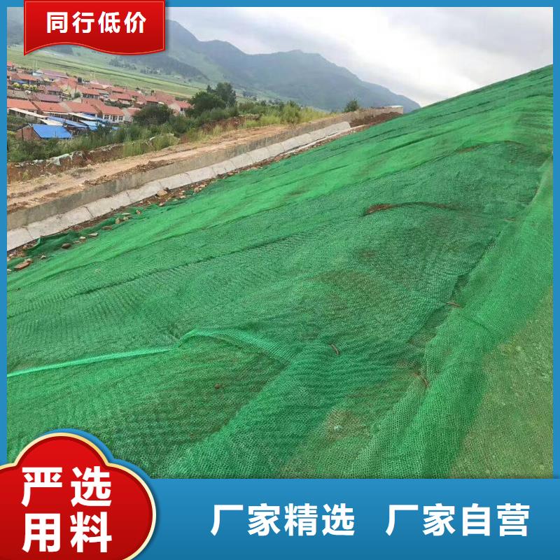 三维植被网厂家视频-施甸|腾冲|临沧|迪庆|红河|文山|丽江三维植被网厂家多种规格供您选择-亿路通新材料(保山市分公司)