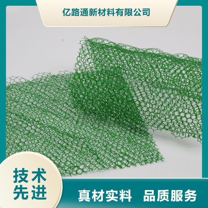 三维植被网多向塑料土工格栅定制批发