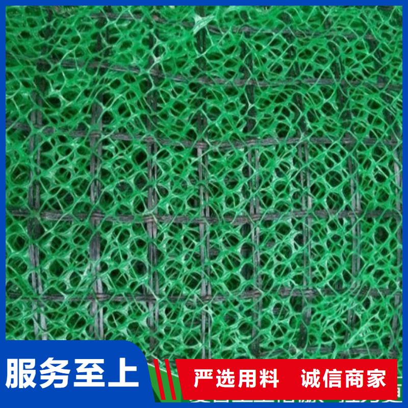 三维植被网三维土工网垫源头直供