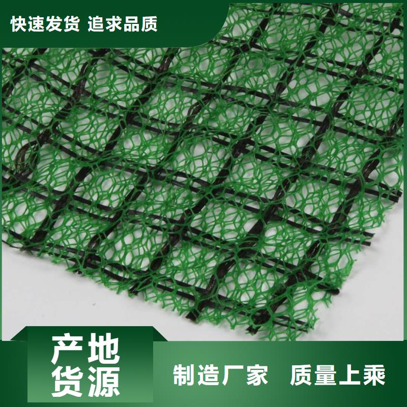 三维植被网三维土工网垫源头直供