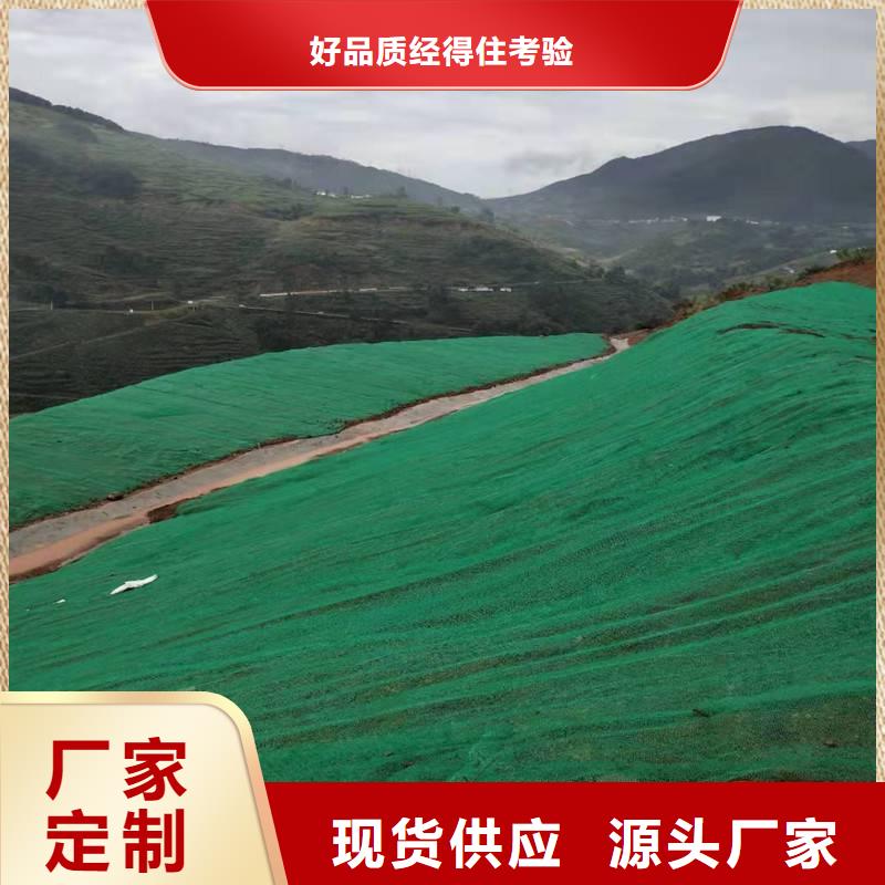 三维植被网防水土工布厂家应用领域
