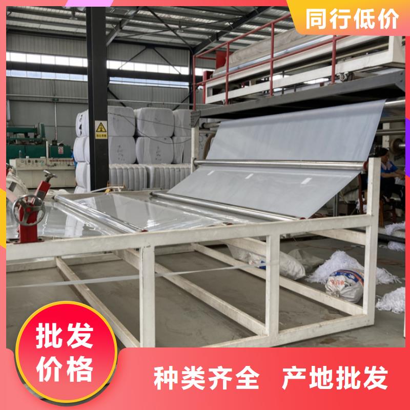 EVA防水板凸结点钢塑土工格栅实体诚信经营