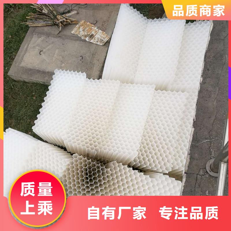 斜管填料-氧化铁脱硫剂专注细节专注品质