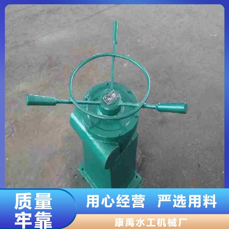了解侧摇启闭机-按需求定制