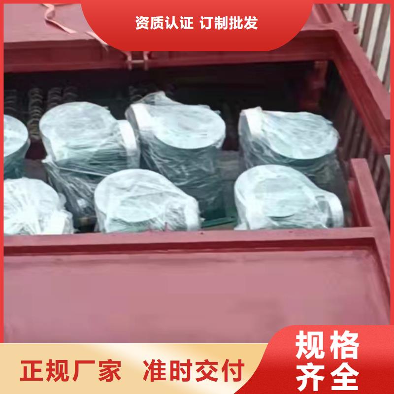 扇形闸门-扇形闸门售后保证
