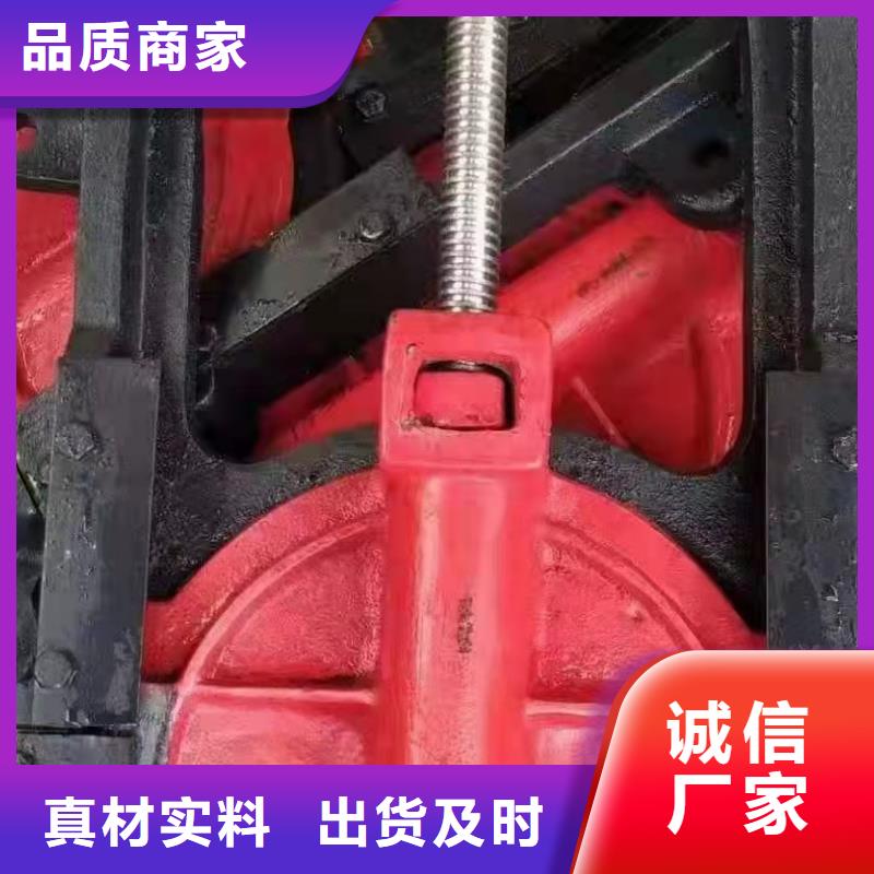 铸铁闸门款式新颖