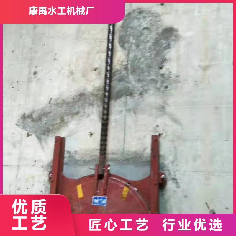 铸铁闸门工程施工案例
