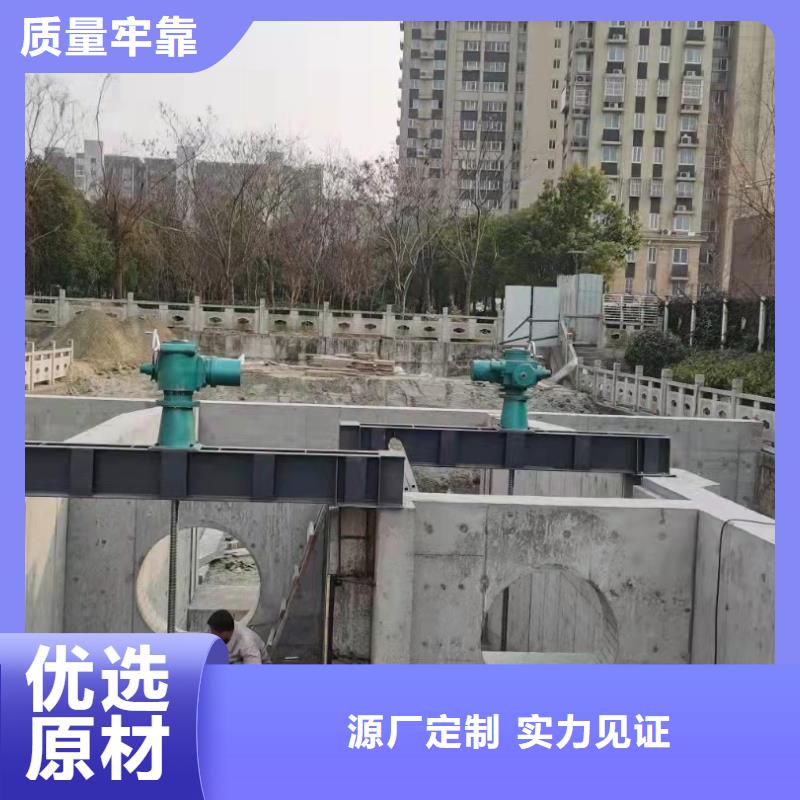 铸铁闸门拍门厂家实体诚信经营