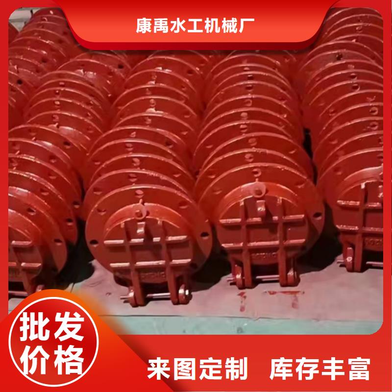 铸铁闸门【启闭机闸门厂家】详细参数