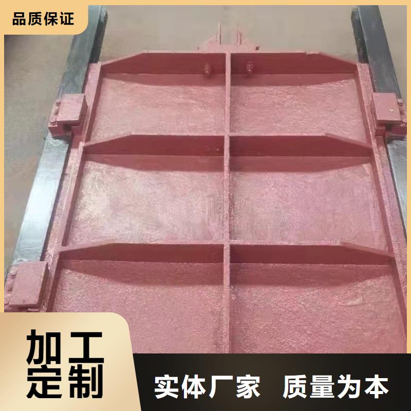 水库铸铁闸门工厂直销