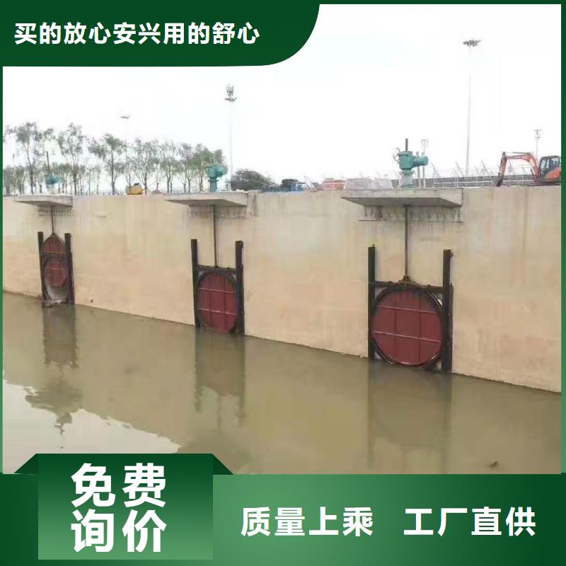 铸铁闸门拍门厂家用心服务