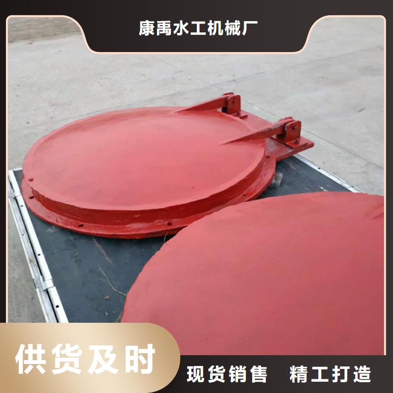 铸铁闸门泵站清污机卓越品质保障