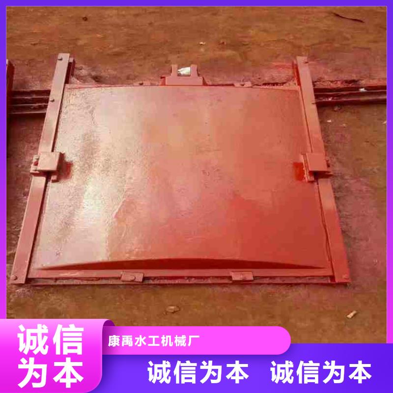 插板铸铁闸门生产厂家