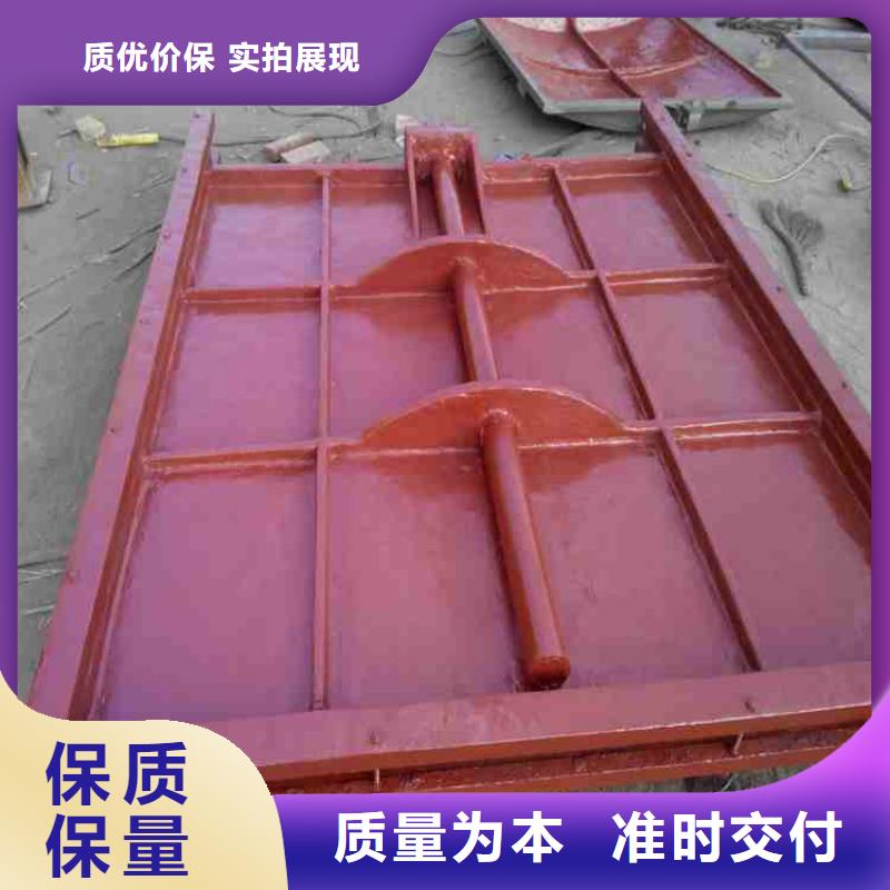铸铁闸门款式新颖