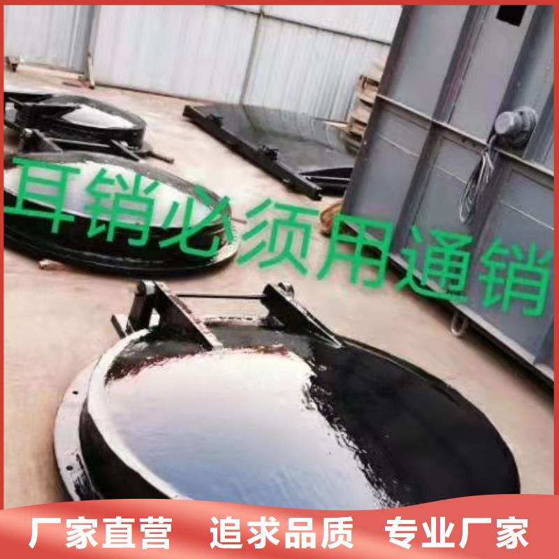 钢闸门电动头启闭机保障