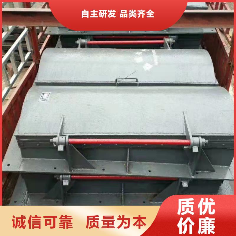 钢闸门,拍门优质材料厂家直销